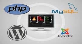 Creare site de prezentare ieftin. Realizare magazin online la cheie. Servicii SEO